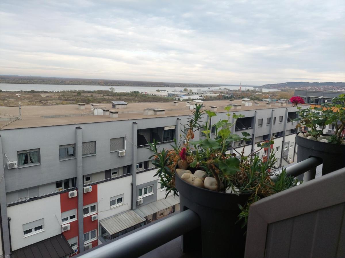 Apartment Lux Zelja *